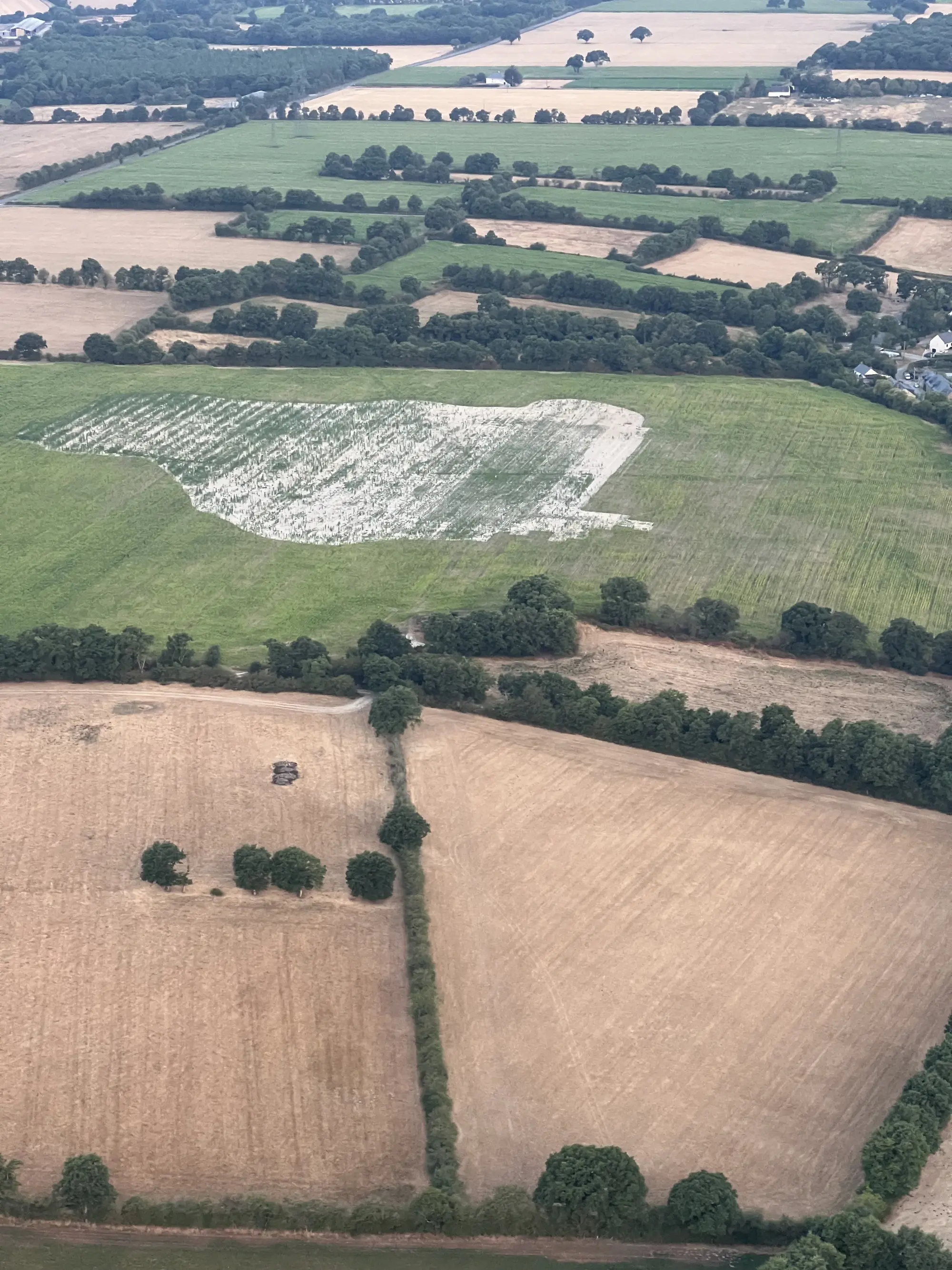 Photo 4 du vol en montgolfière du 25 juillet 2026 au départ de Châteaubriant
