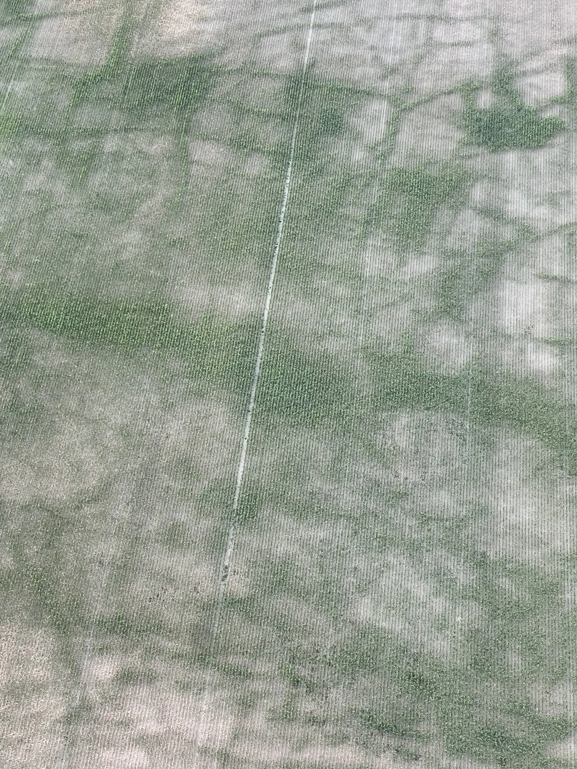 Vol en montgolfière, août 2026