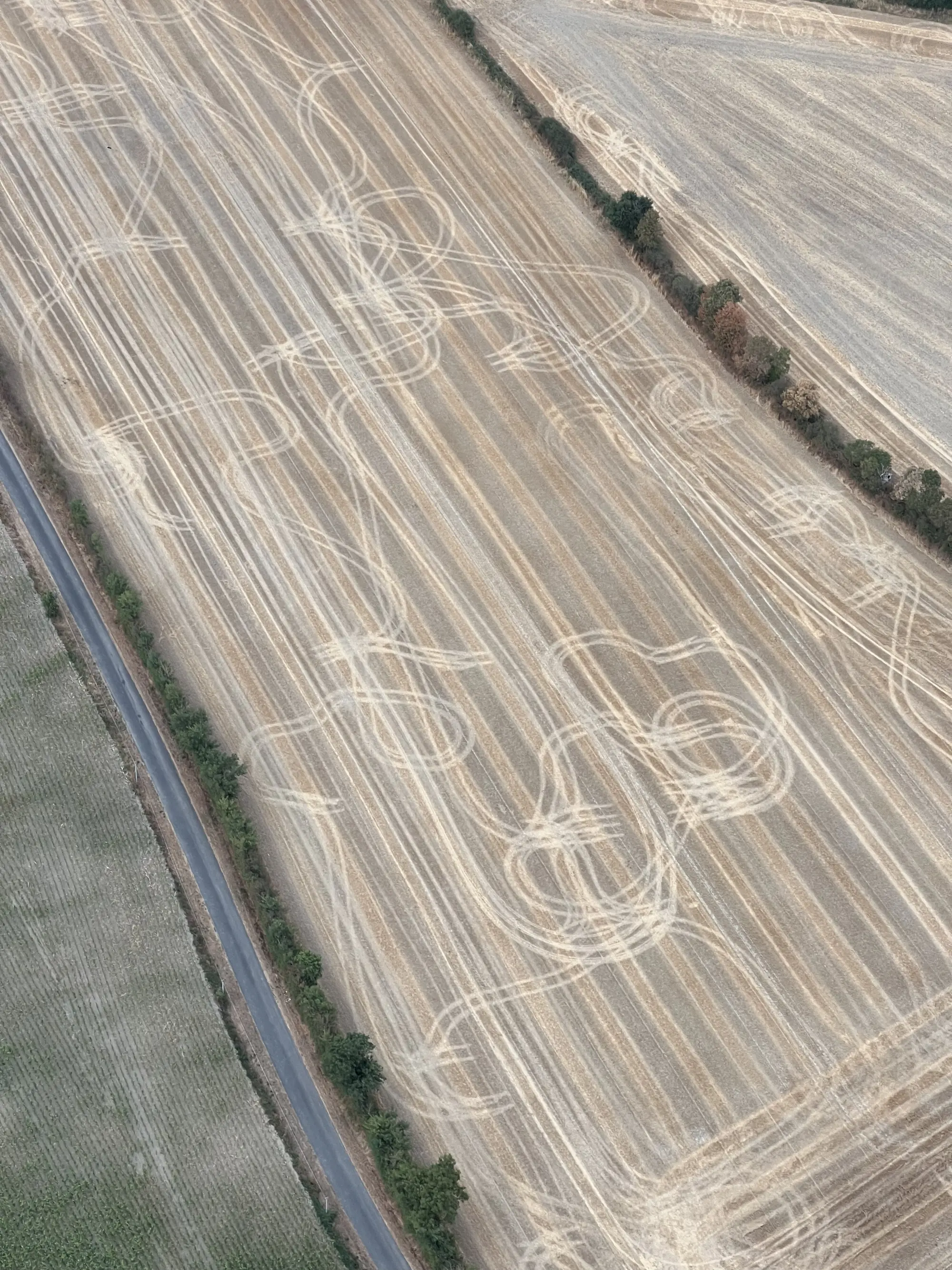 Photo 3 du vol en montgolfière du 6 août 2026