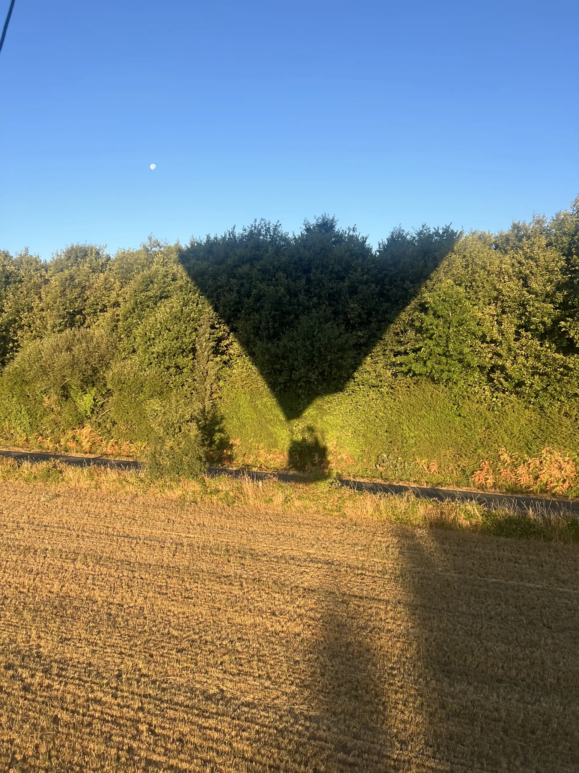 Photo 2 du vol en montgolfière du 1 août 2026
