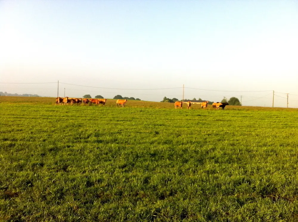 Photo 4 du vol en montgolfière du 1 juin 2014 au départ de Châteaubriant