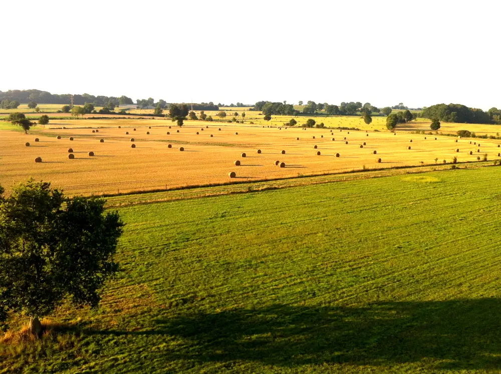 Photo 1 du vol en montgolfière du 26 juillet 2014 au départ de Châteaubriant