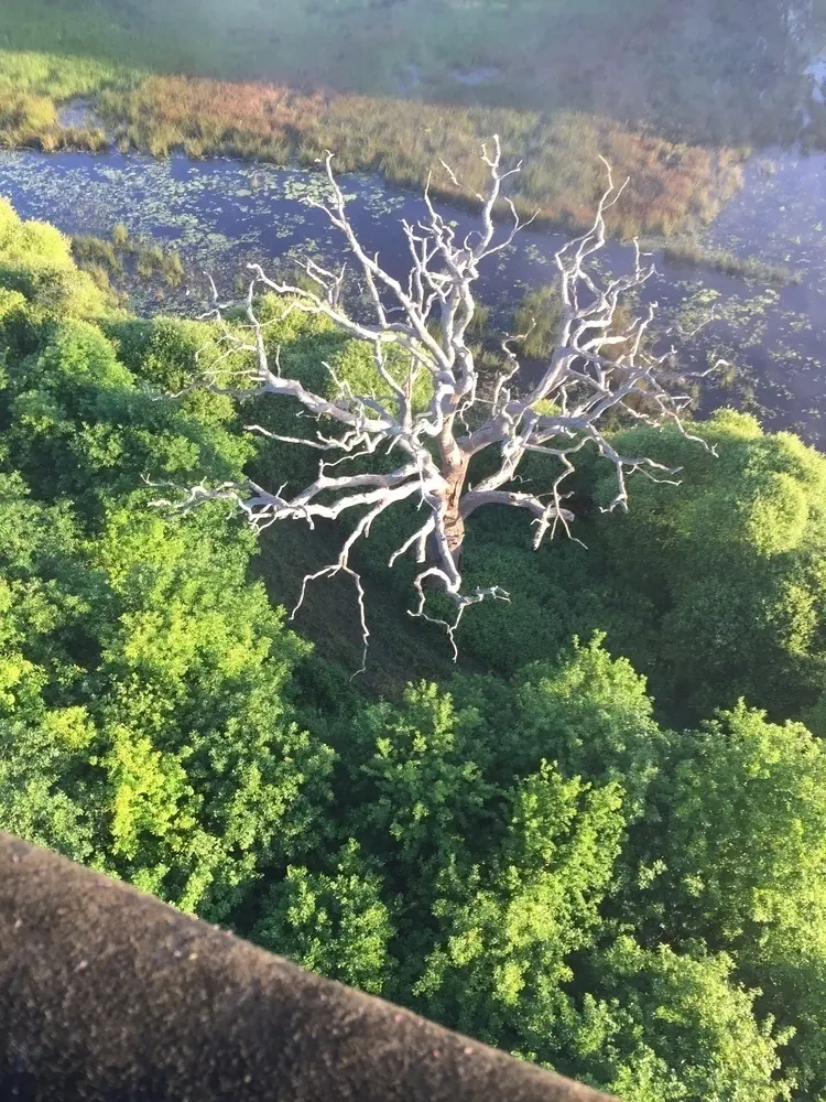 Vol en montgolfière vers Senonnes, mai 2015