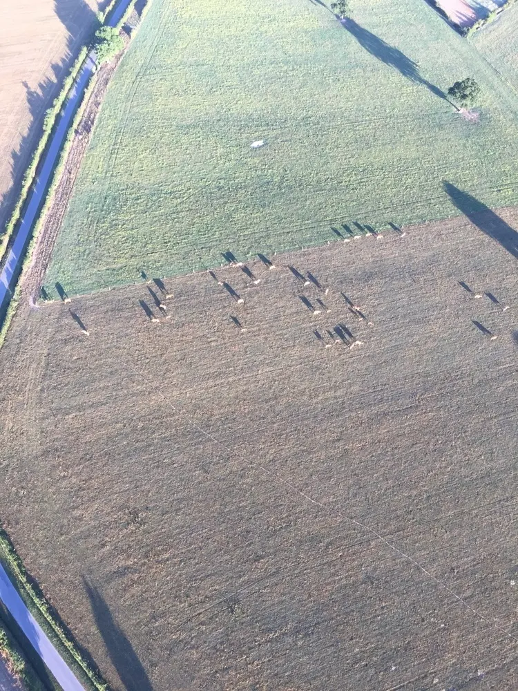 Photo 4 du vol en montgolfière du 6 août 2017 au départ de Châteaubriant