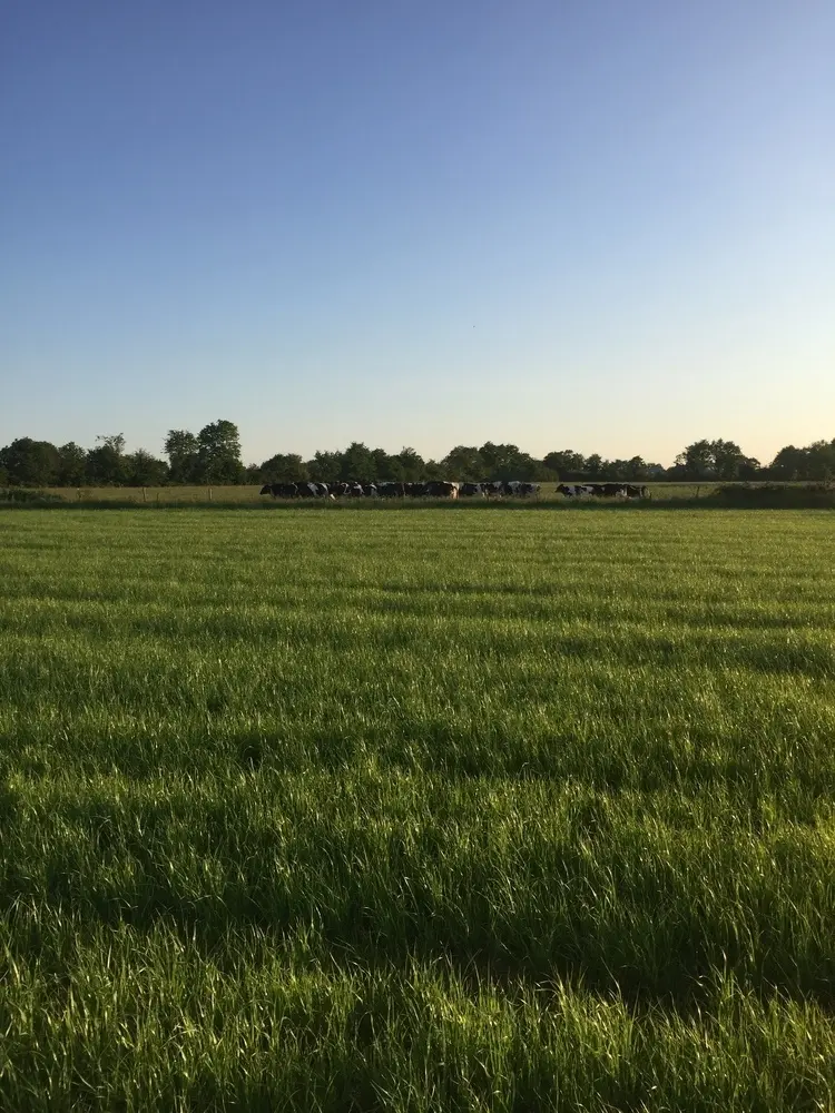 Photo 6 du vol en montgolfière du 20 mai 2018 au départ de Saffré